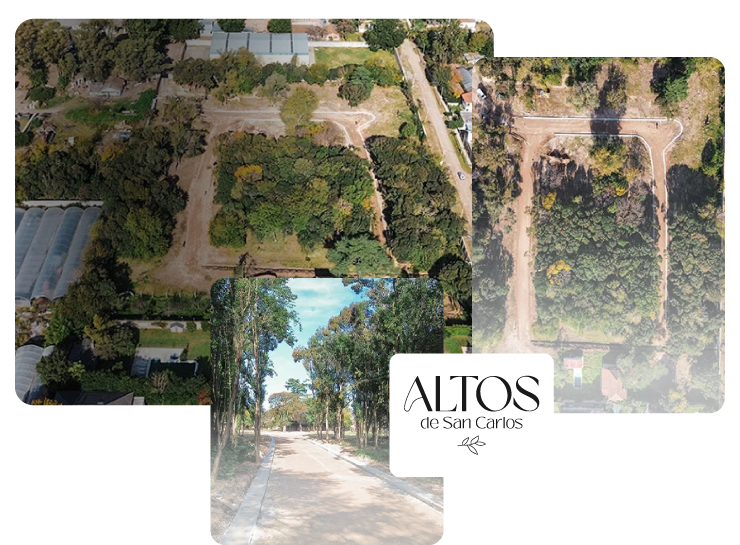 Ferez Asesores Comerciales