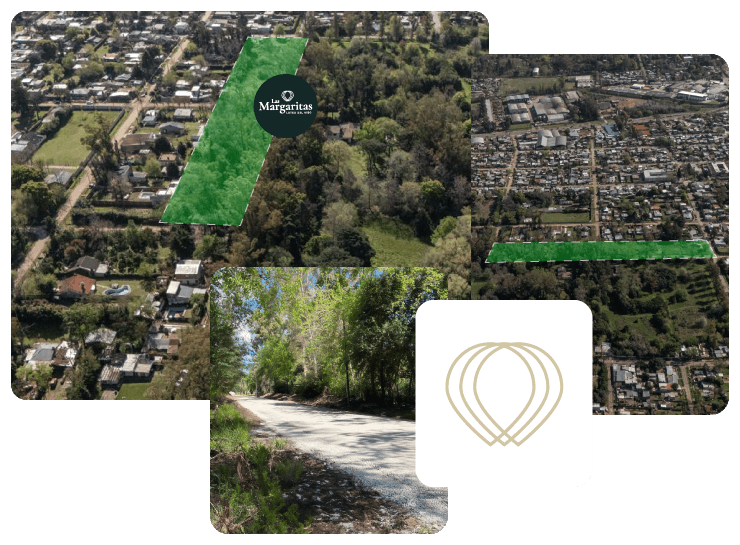 Ferez Asesores Comerciales