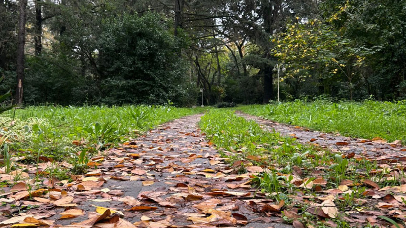 Ferez Asesores Comerciales