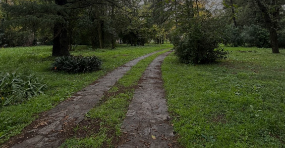 Ferez Asesores Comerciales